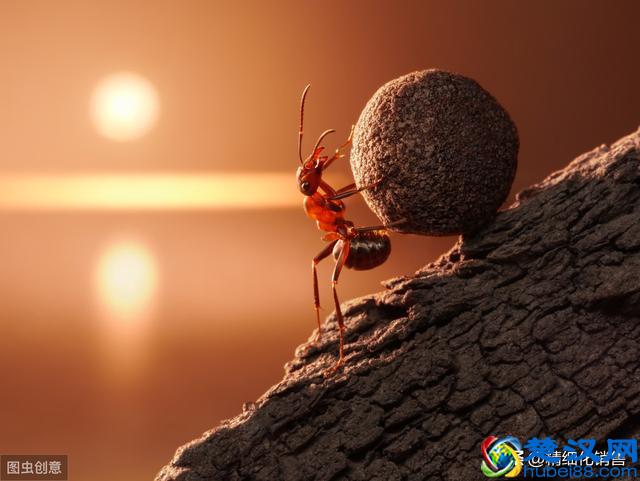 什么是创业？你会创业吗？