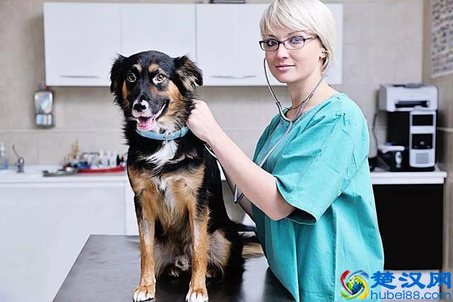 月薪20000！想不到上海这些新兴职业原来这么赚钱！