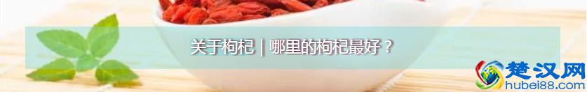 都知道枸杞好，可你真的知道每天吃多少？