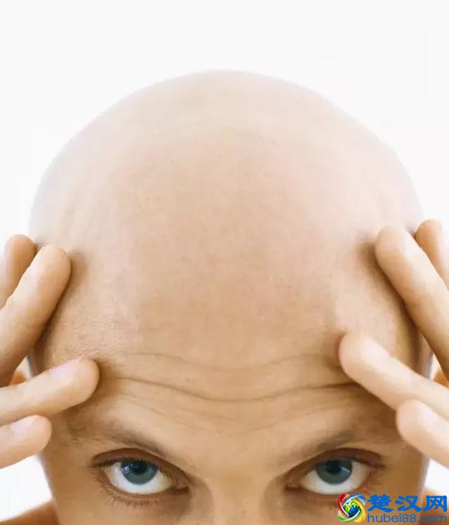 都知道枸杞好，可你真的知道每天吃多少？