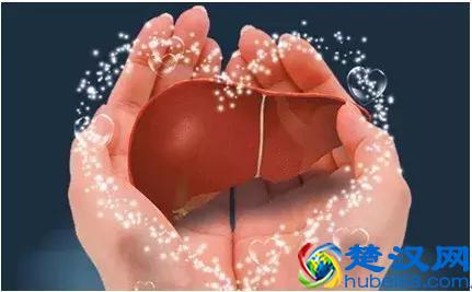 都知道枸杞好，可你真的知道每天吃多少？