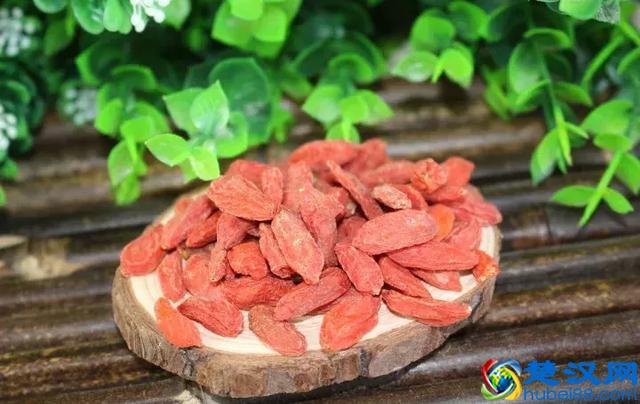 都知道枸杞好，可你真的知道每天吃多少？