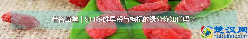 都知道枸杞好，可你真的知道每天吃多少？