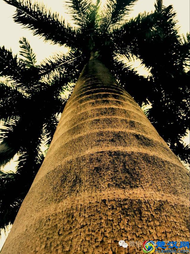 合伙的生意能做吗？餐饮合伙入股注意什么？