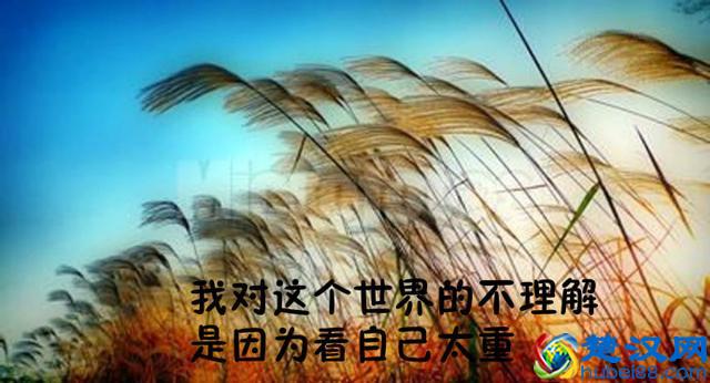 做什么生意不违法而且来钱快呢？