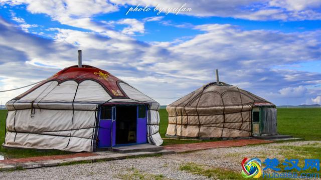 草原美食奶豆腐，原来是这样制作的