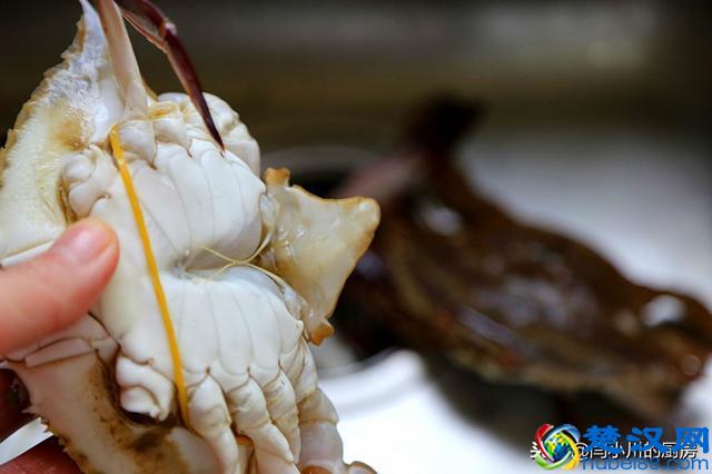 螃蟹怎么做简单又好吃？葱姜炒蟹味道鲜美可口制作方便快捷