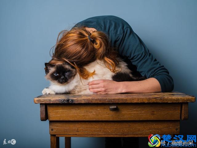 猫咪身上有静电？学会这几招做就可以放心撸猫