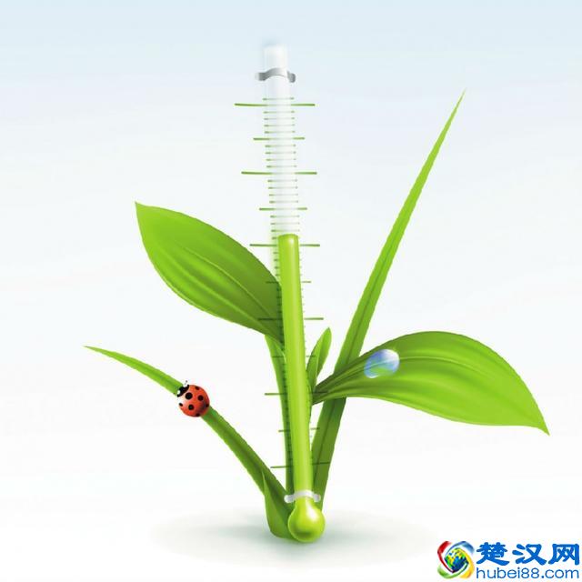 温度计的正确使用方法——水银体温计怎么看?