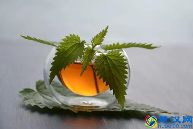 什么是释怀，这是我听过最美的答案