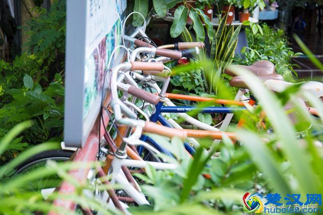 深圳世界之窗真的把整个世界都搬过来了吗？