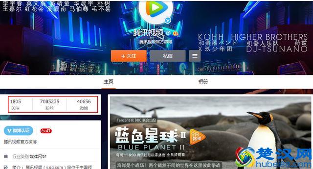 四大门户微博视频粉丝知多少？