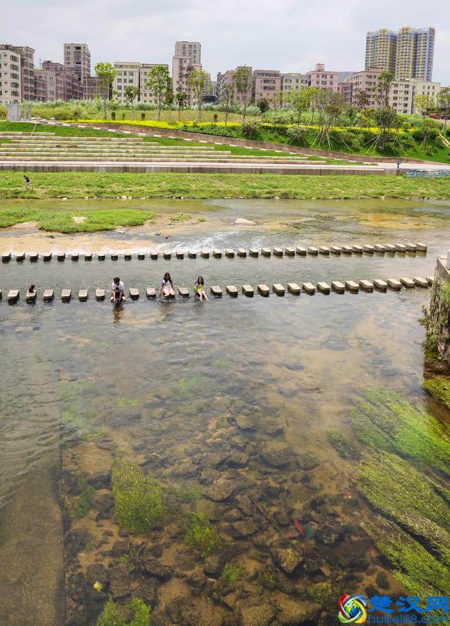 光明新区启动526个工业小区正本清源工程