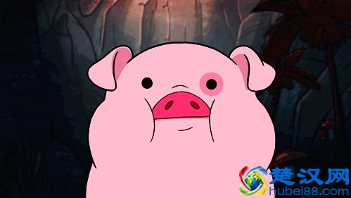 语音版：“你好无趣啊~”英语怎么说？