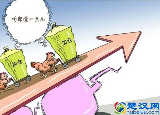 如何做原油投资理财，看完之后我懵逼了