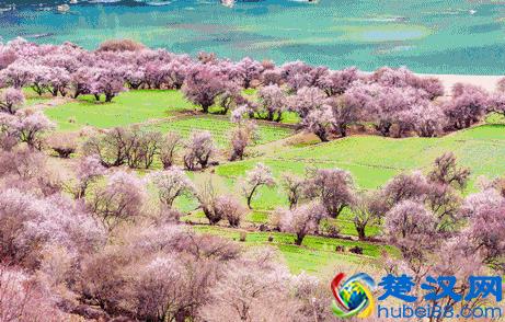 北京到西藏，全程10站，美不胜收！