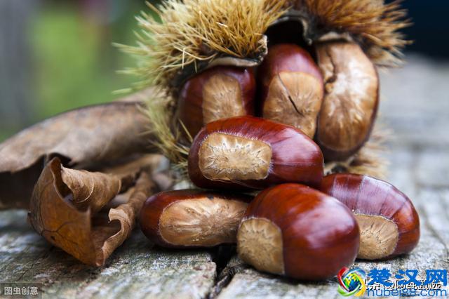 新鲜板栗怎么去壳？掌握这几个小技巧，轻松剥掉板栗壳！吃货必学