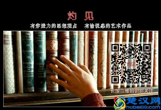 什么是释怀，这是我听过最美的答案