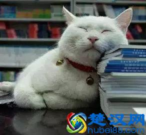 最近为什么老是犯困，原来是它在作怪