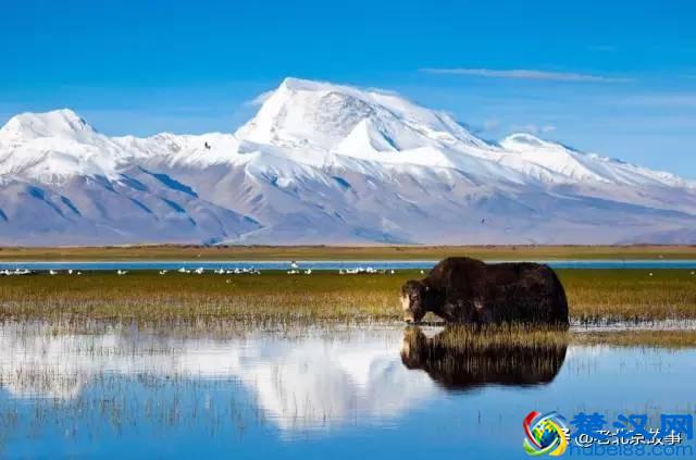 北京到西藏，全程10站，美不胜收！