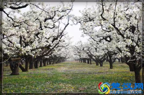 记叙文不知道写什么？六个“一”教你如何给记叙文选材