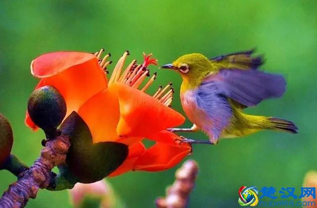 做自媒体人，懂得“温故而知新”的学习方法，是进步的“真精”