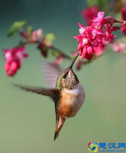 做自媒体人，懂得“温故而知新”的学习方法，是进步的“真精”