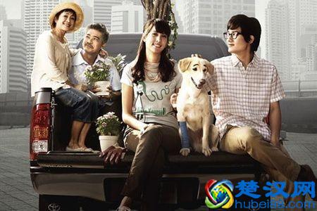 十部好看的小清新爱情电影