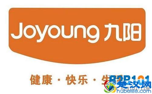 电水壶什么牌子好？2017电水壶十大品牌排行