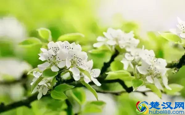 宽容的最高境界（深度好文）