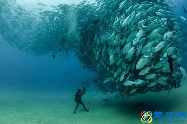 年度最让人叹为观止的20张照片