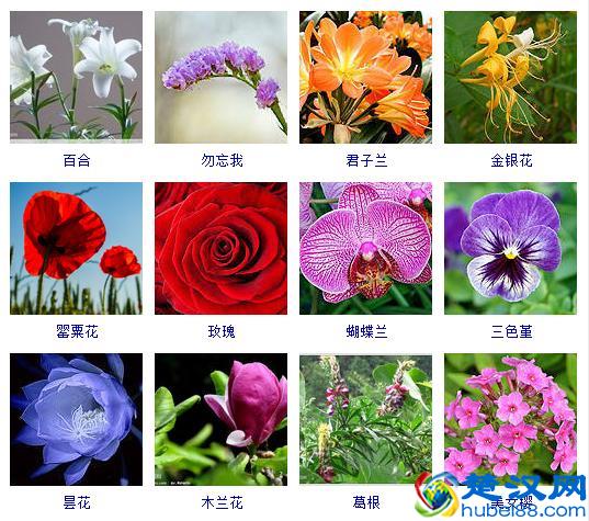 天下第一武侯祠——勉县武侯祠