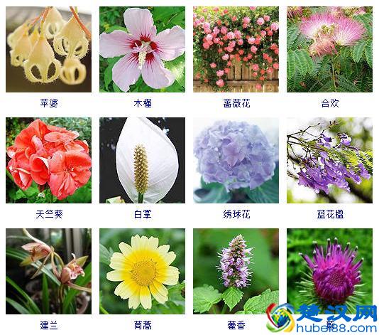 天下第一武侯祠——勉县武侯祠