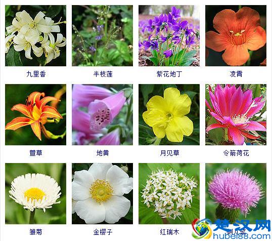 天下第一武侯祠——勉县武侯祠