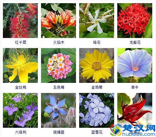 生产力的含义和基本要素