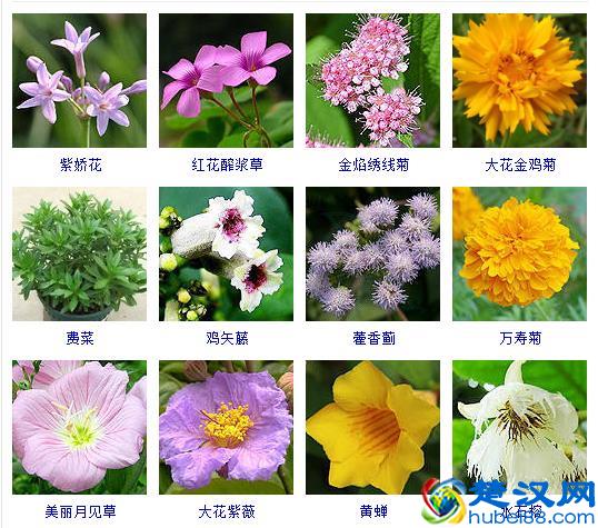 散文的概念及写作技巧