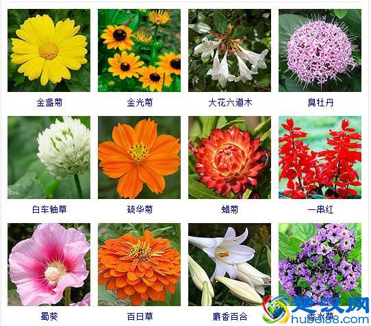 散文的概念及写作技巧