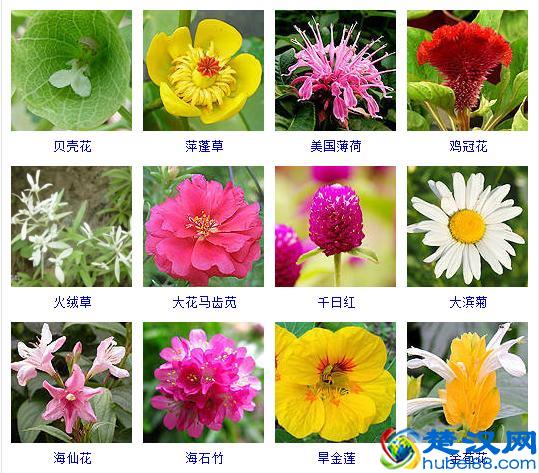 散文的概念及写作技巧