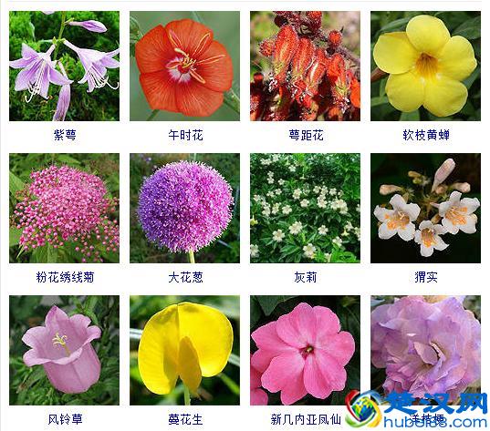 散文的概念及写作技巧