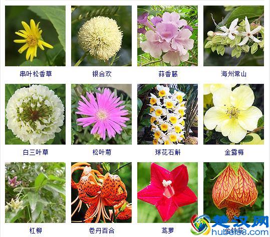 散文的概念及写作技巧