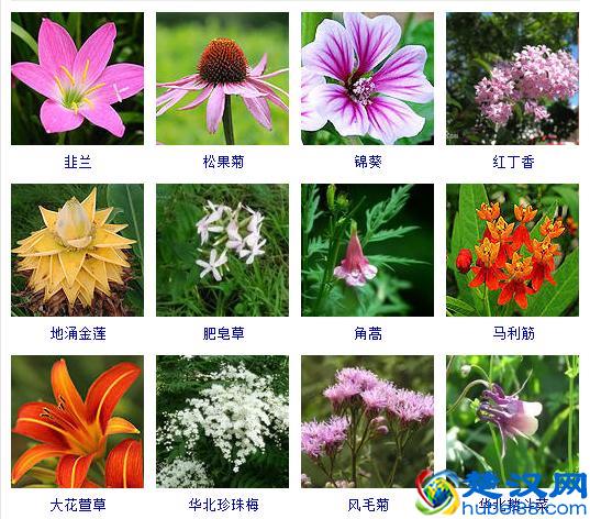 五岳之首，中国最雄伟的山你可知道？