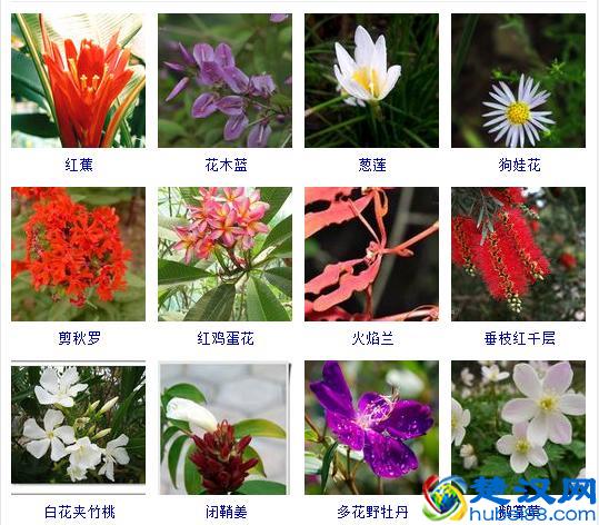 五岳之首，中国最雄伟的山你可知道？