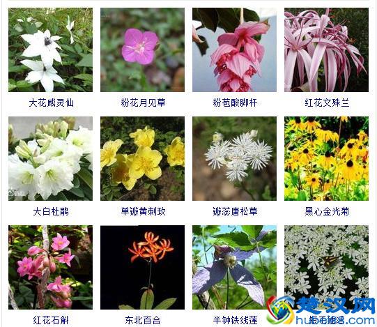 生意社：2019年度电石八大数字盘点