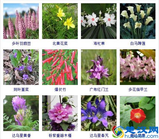 你知道奥运5环分别代表什么吗，简单动画告诉你