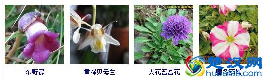 你知道奥运5环分别代表什么吗，简单动画告诉你