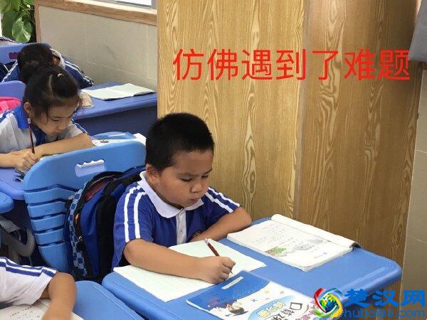 你知道奥运5环分别代表什么吗，简单动画告诉你