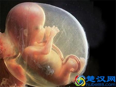 PS羽化使用教程，详细介绍！