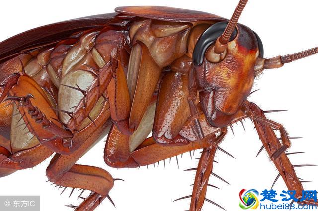 PS羽化使用教程，详细介绍！