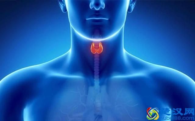 氨基酸最新的功能是什么 从哪些食物里补充氨基酸？