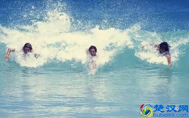 海带、昆布，傻傻分不清楚？不过吃起来都不错